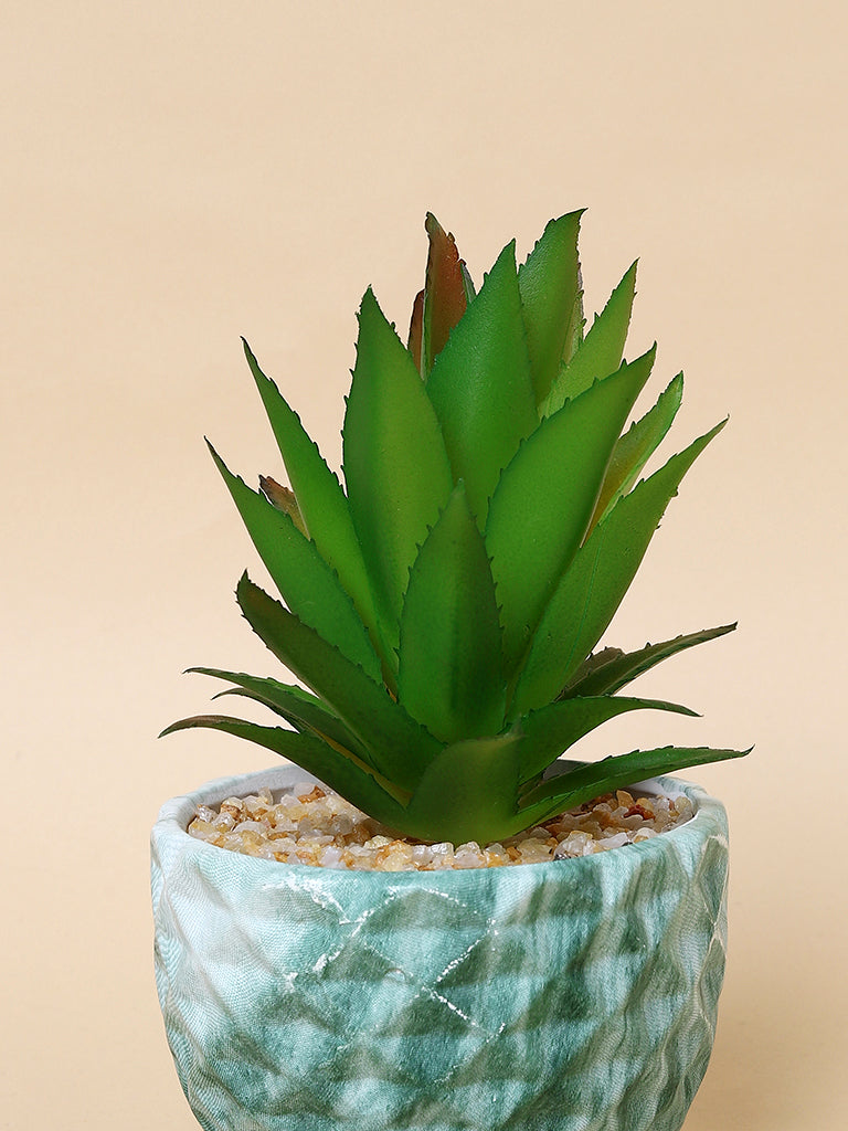 Misbu Green Marble Self Textured Plant