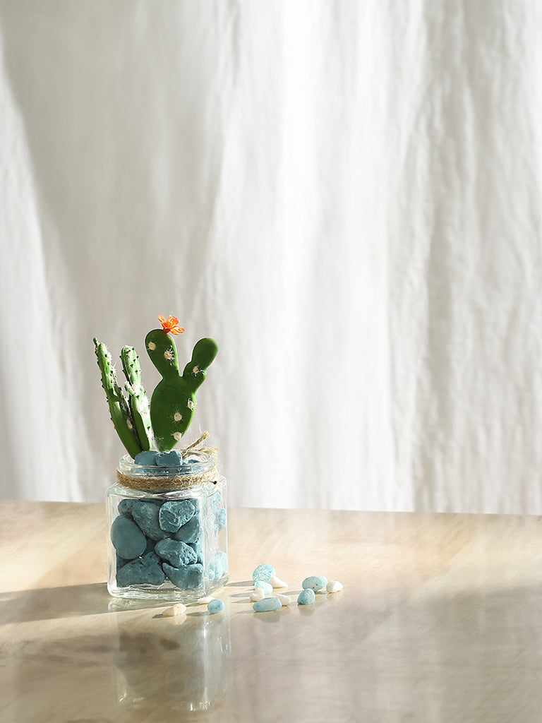 Misbu Atlantic Glass with cactus Plant with Stones
