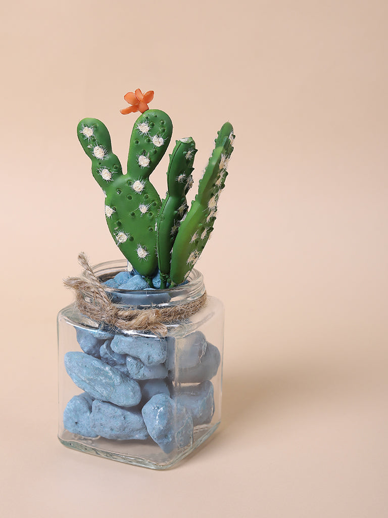 Misbu Atlantic Glass with cactus Plant with Stones