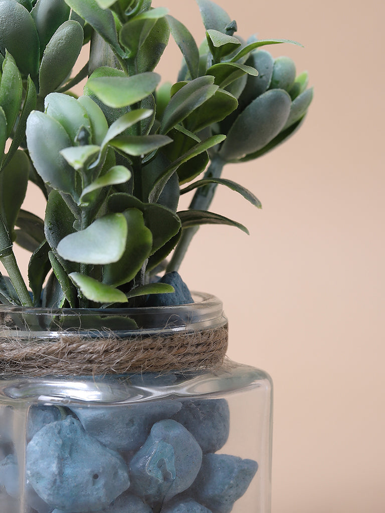 Misbu Atlantic Blue Glass Succulent Plant with Stones
