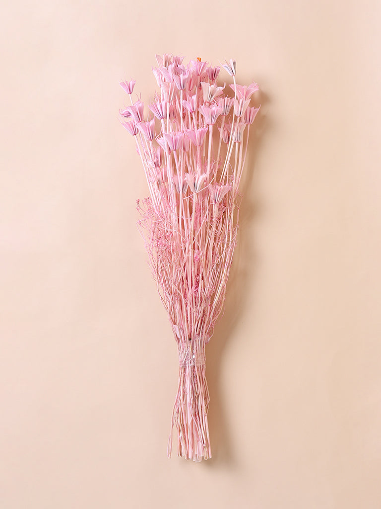 Misbu Vintage Pink Nigella Bunch Dried Flower