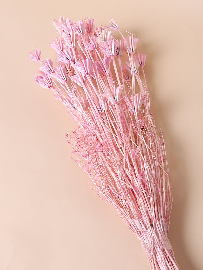 Misbu Vintage Pink Nigella Bunch Dried Flower