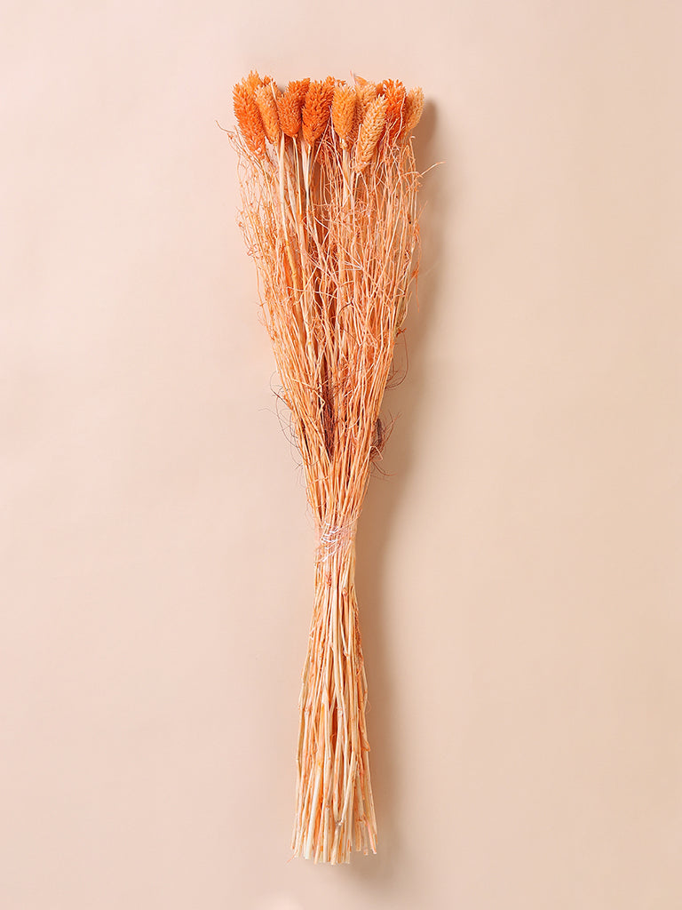 Misbu Orange Phalaris Bunch Dried Flower